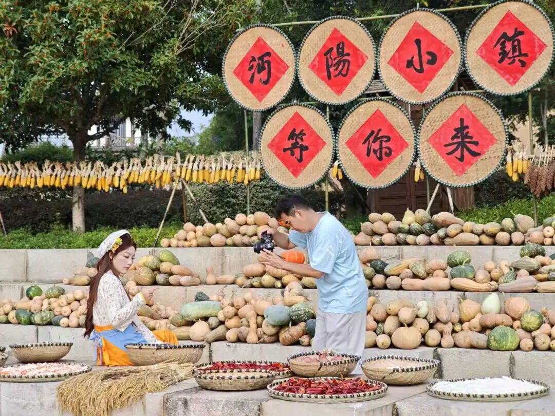 C7娱乐