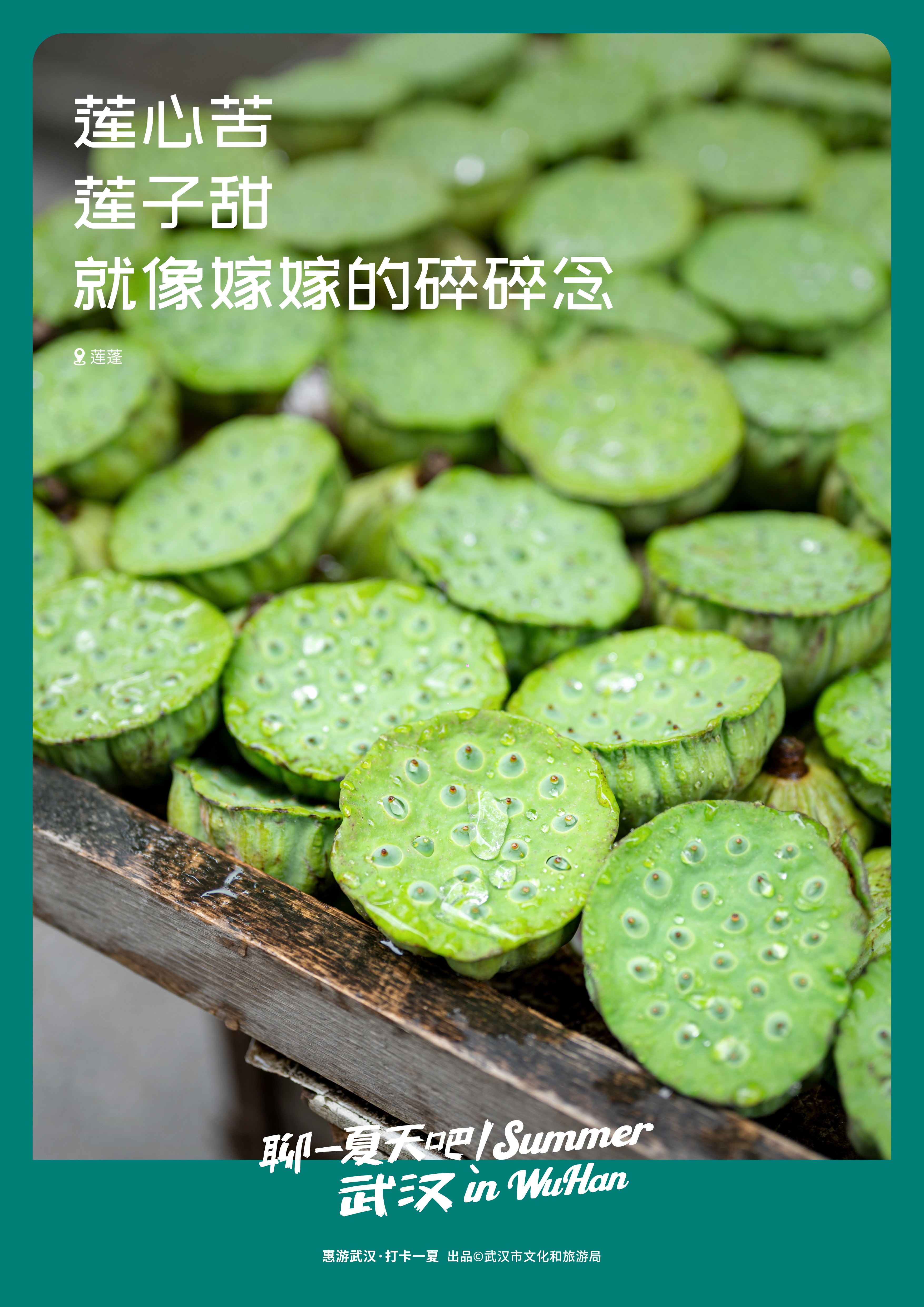 C7娱乐
