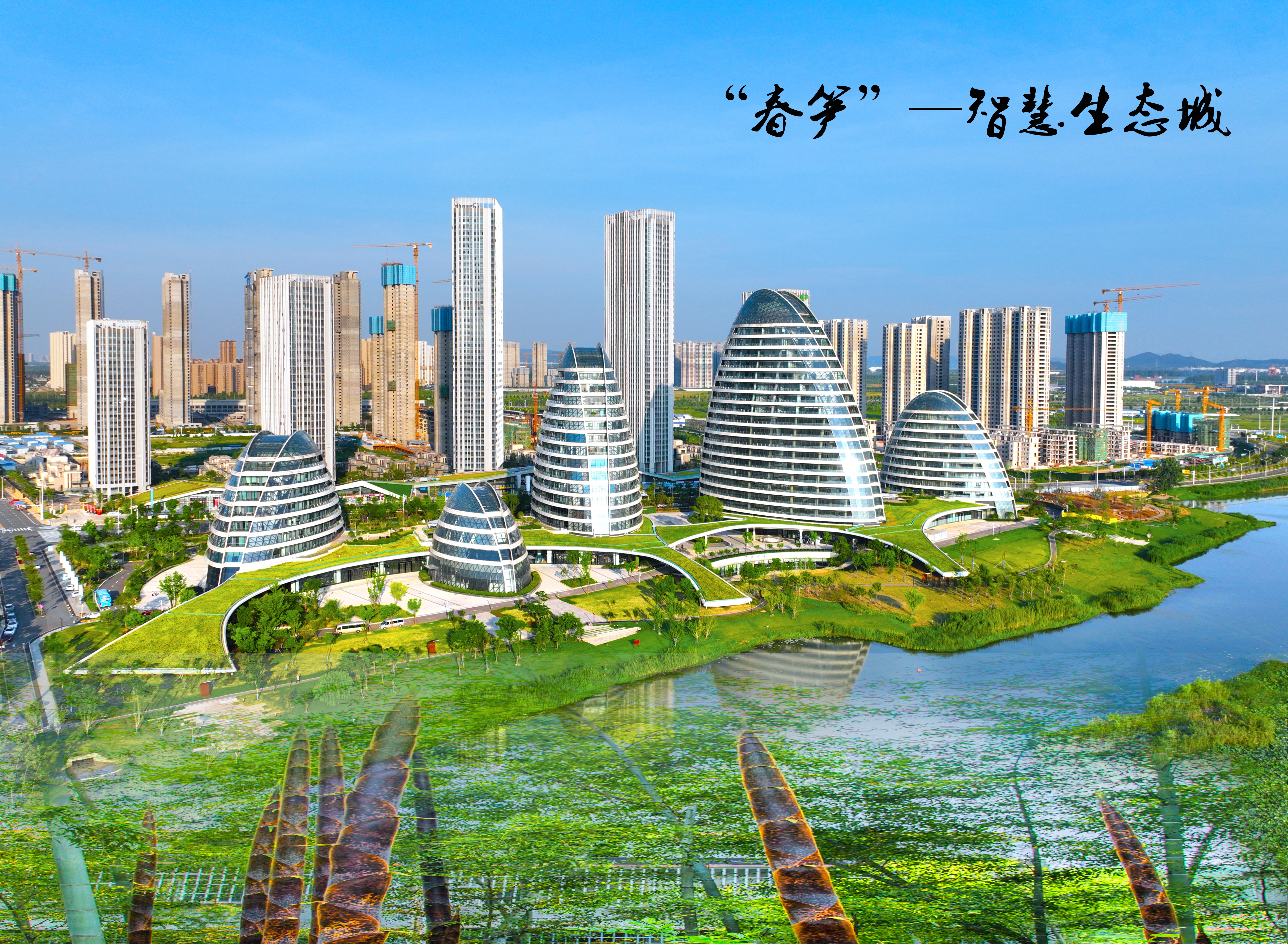 C7娱乐