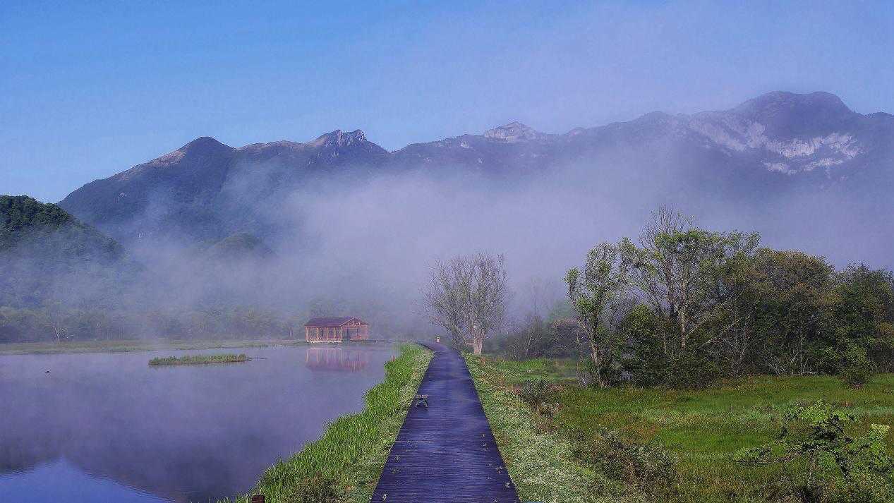 C7娱乐