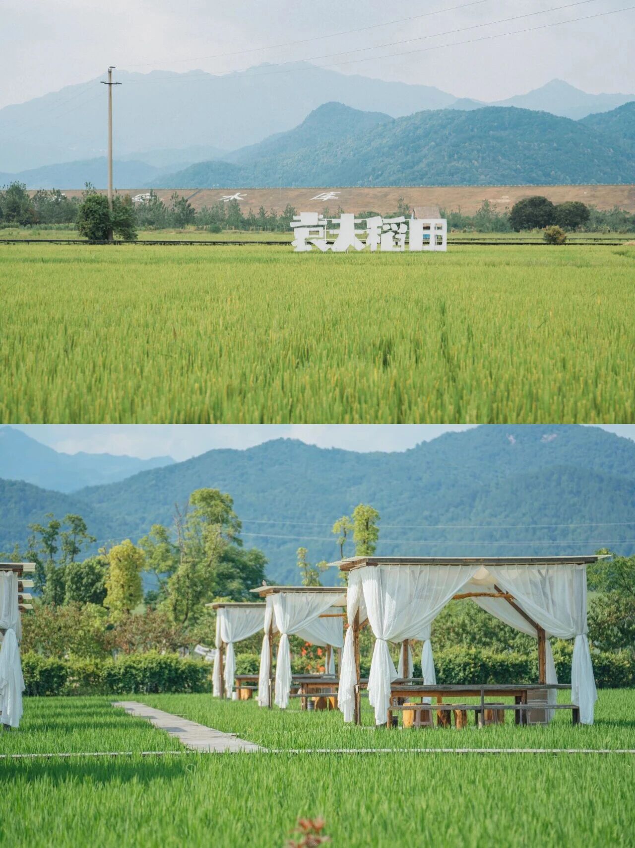 C7娱乐